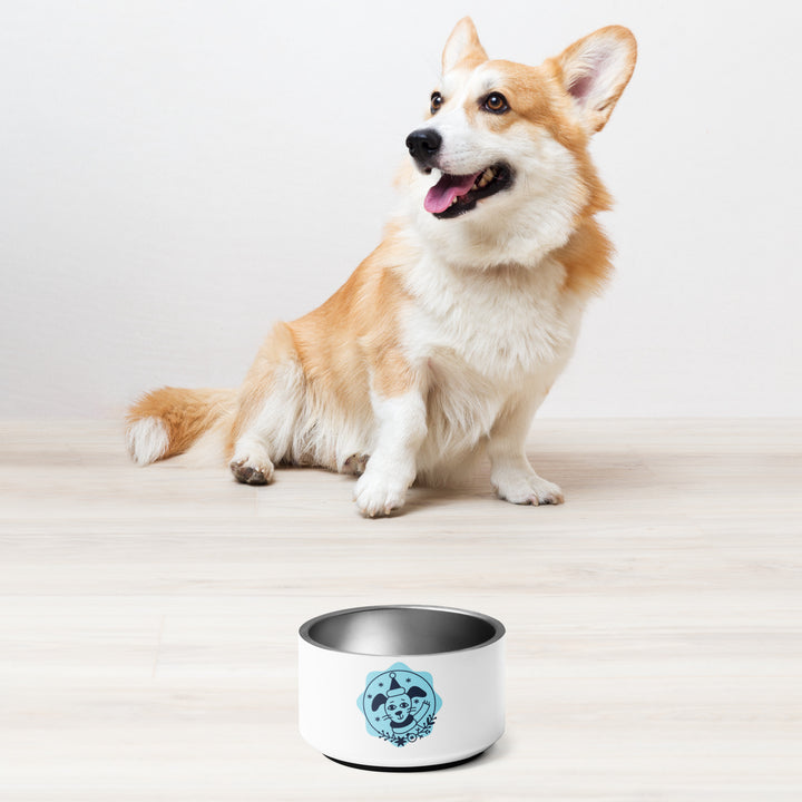 Pet bowl