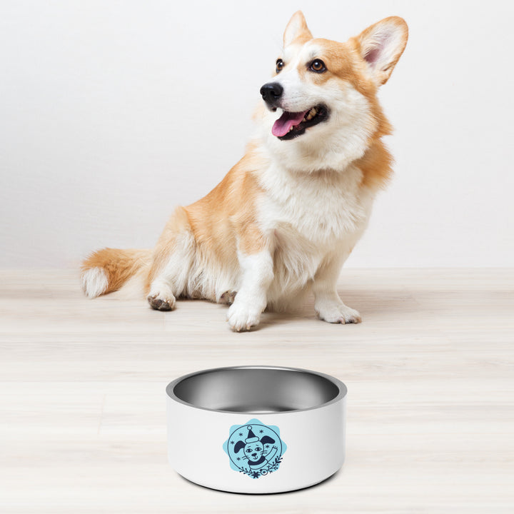 Pet bowl