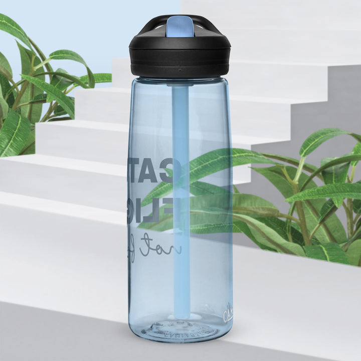 Sports water bottle