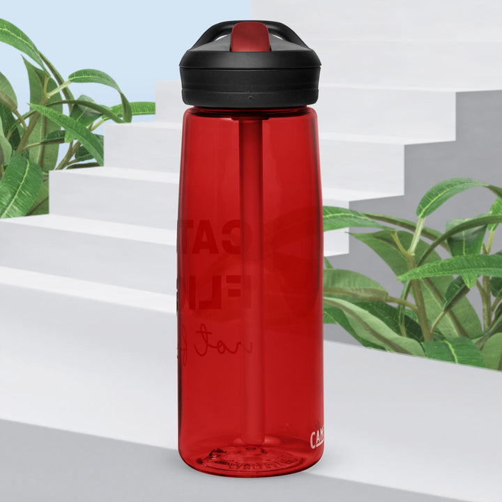 Sports water bottle