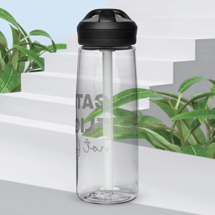 Sports water bottle